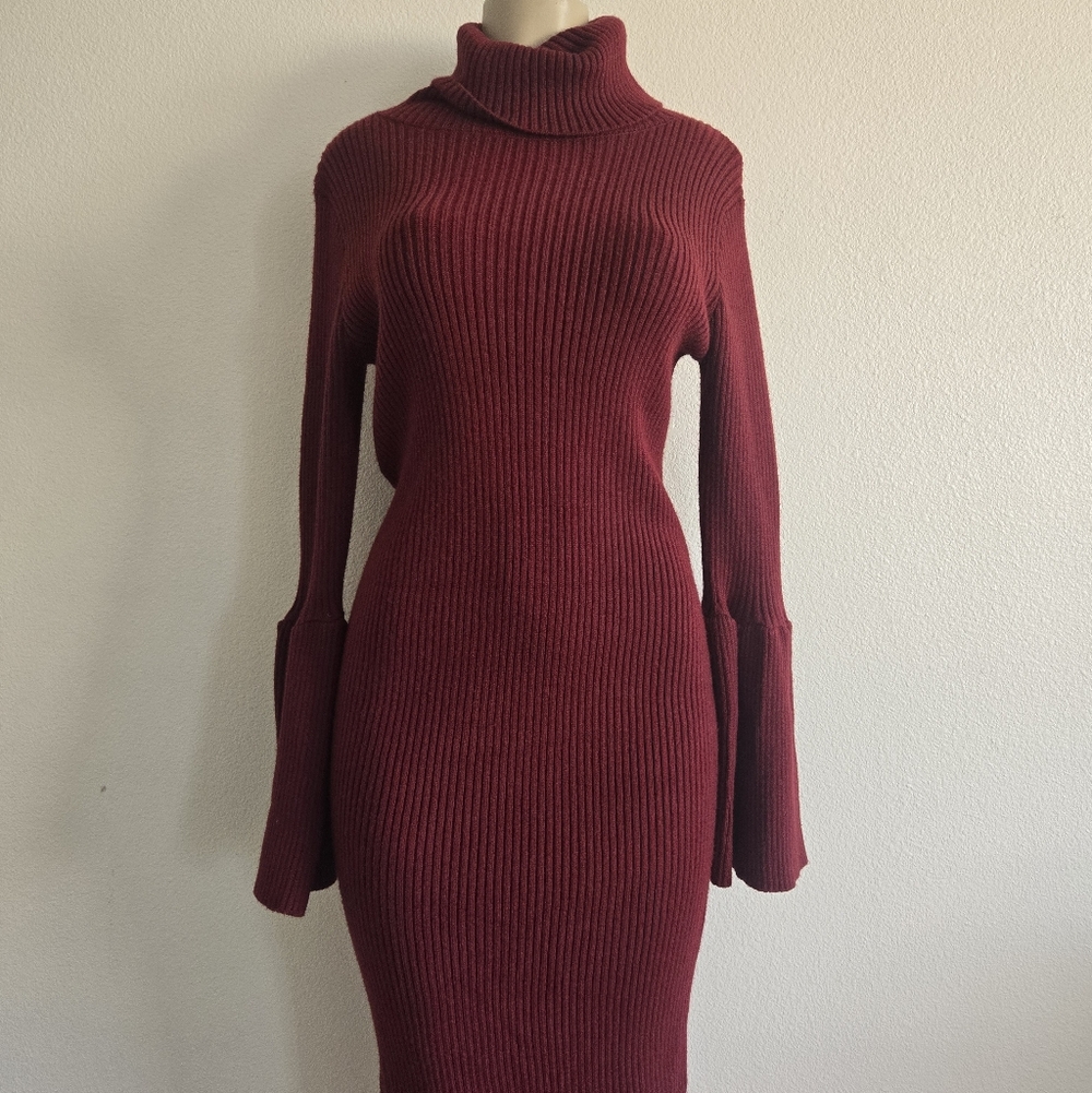 Turtleneck Ribbed Knit Dress in Burgundy